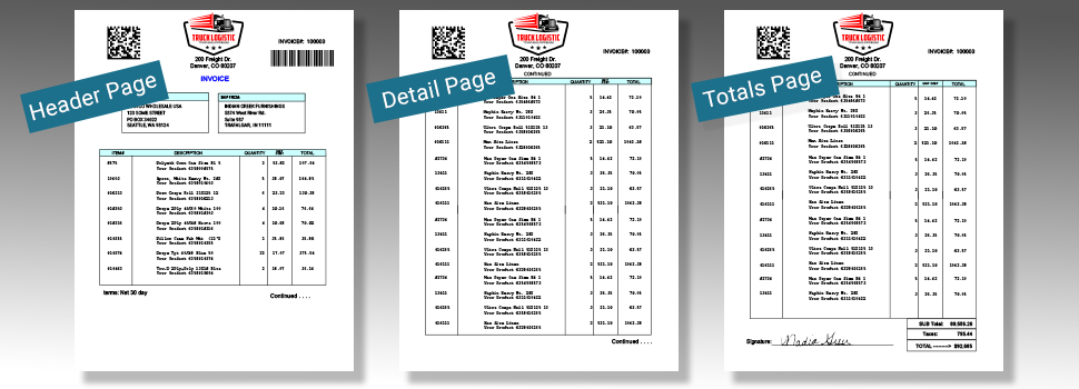 Multi-page form displaying header, detail, and totals pages to demonstrate page-by-page conditioning.